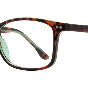 Caleb_Tortoise Green