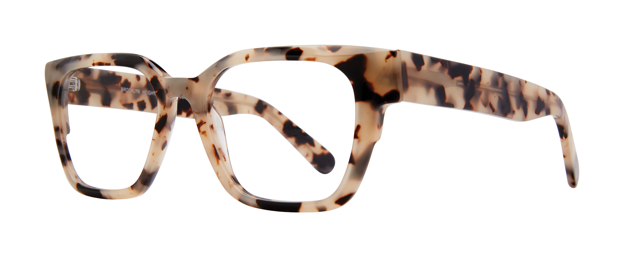 Charity_Tokyo Tortoise