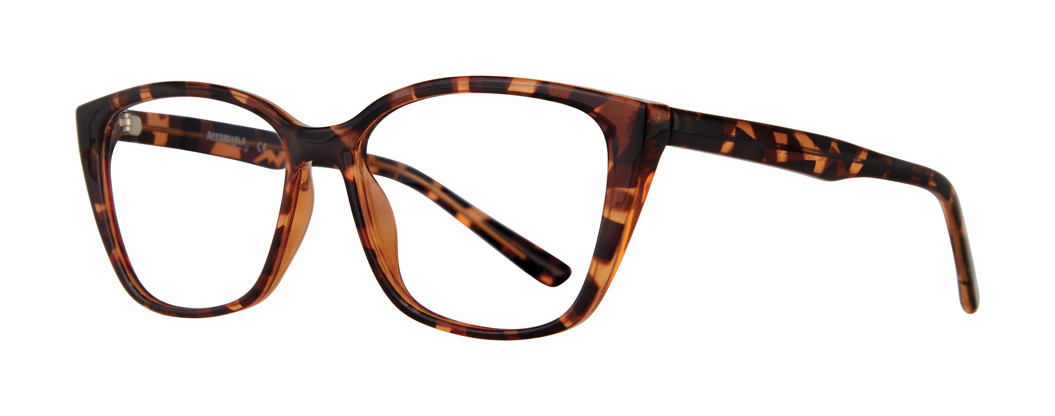 Jasmine_Demi Tortoise