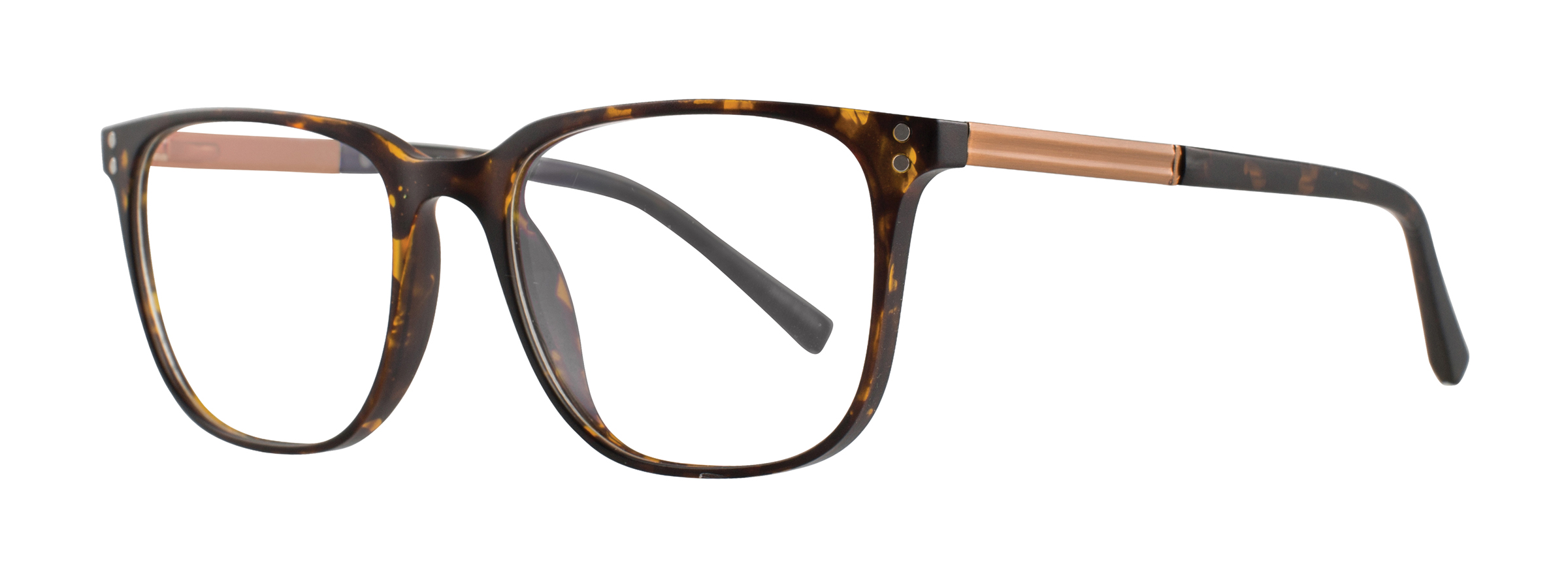 LD1007_Matte Tortoise